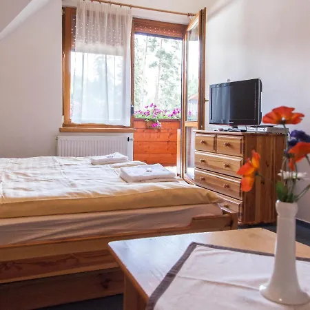 Guest house Snezienka 3*