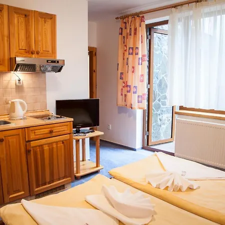 Guest house Snezienka